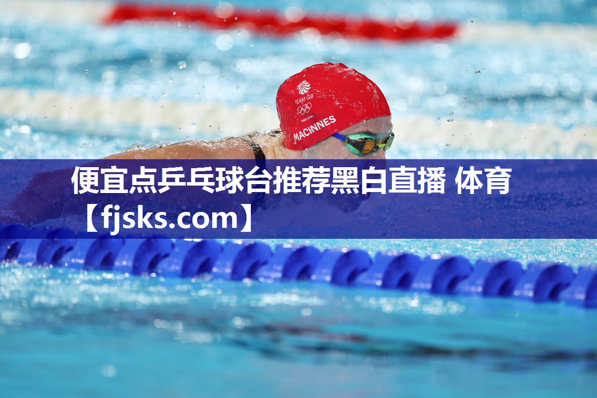 便宜点乒乓球台推荐黑白直播 体育