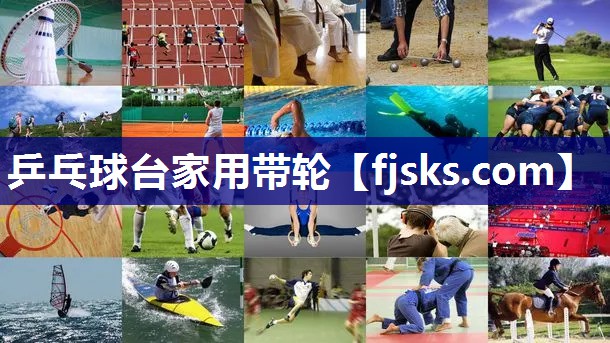 乒乓球台家用带轮 乒乓球台家用带轮