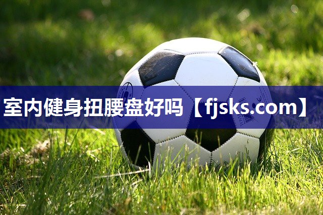 室内健身扭腰盘好吗 室内健身扭腰盘好吗