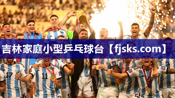 吉林家庭小型乒乓球台 吉林家庭小型乒乓球台