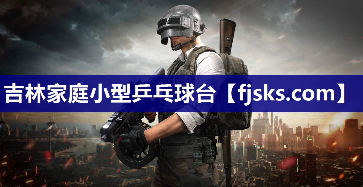 吉林家庭小型乒乓球台 吉林家庭小型乒乓球台
