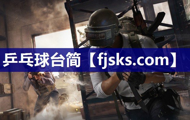 乒乓球台简 乒乓球台简