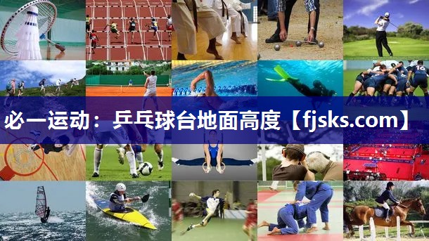 乒乓球台地面高度 乒乓球台地面高度