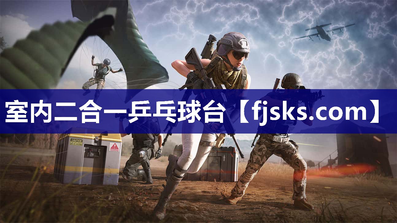 室内二合一乒乓球台 室内二合一乒乓球台